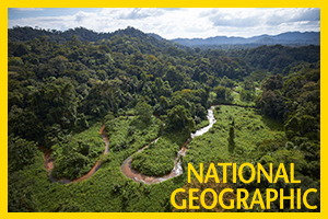 National Geographic Features Discovery of Lost City